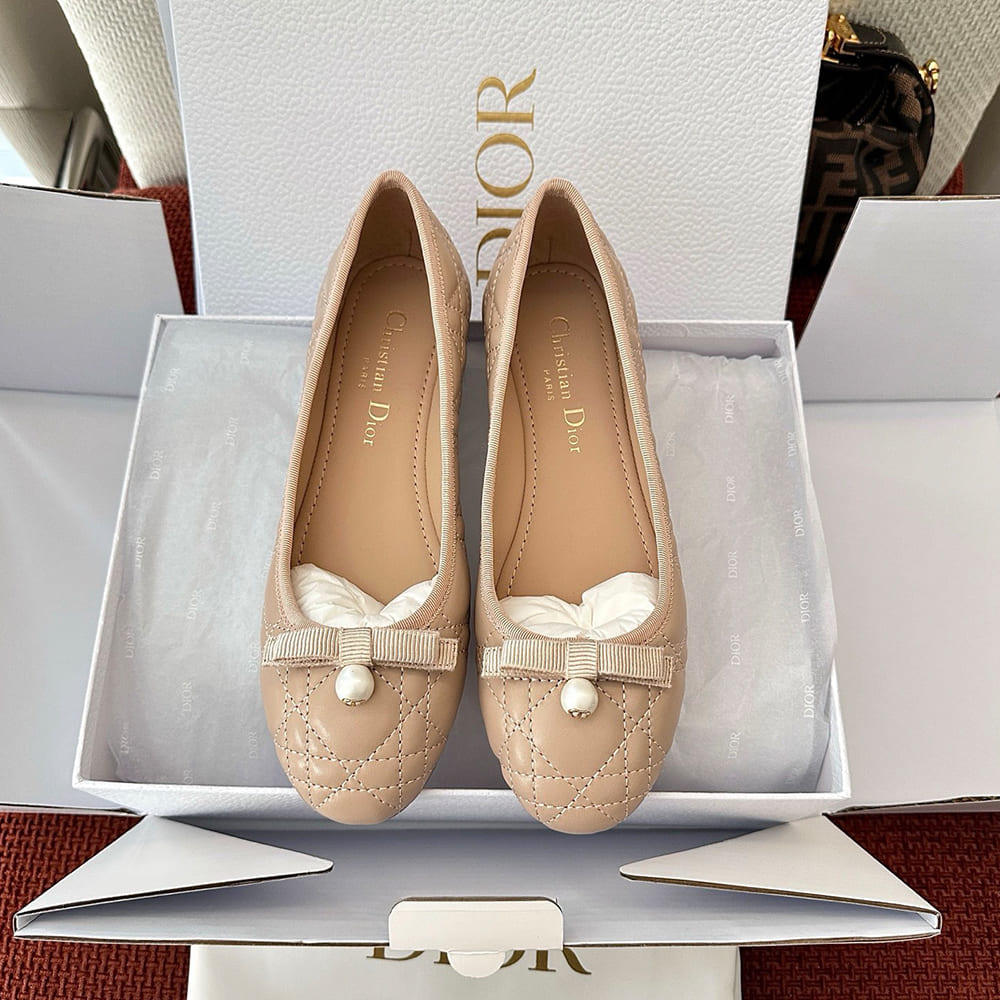 D10r Ballet Flat
