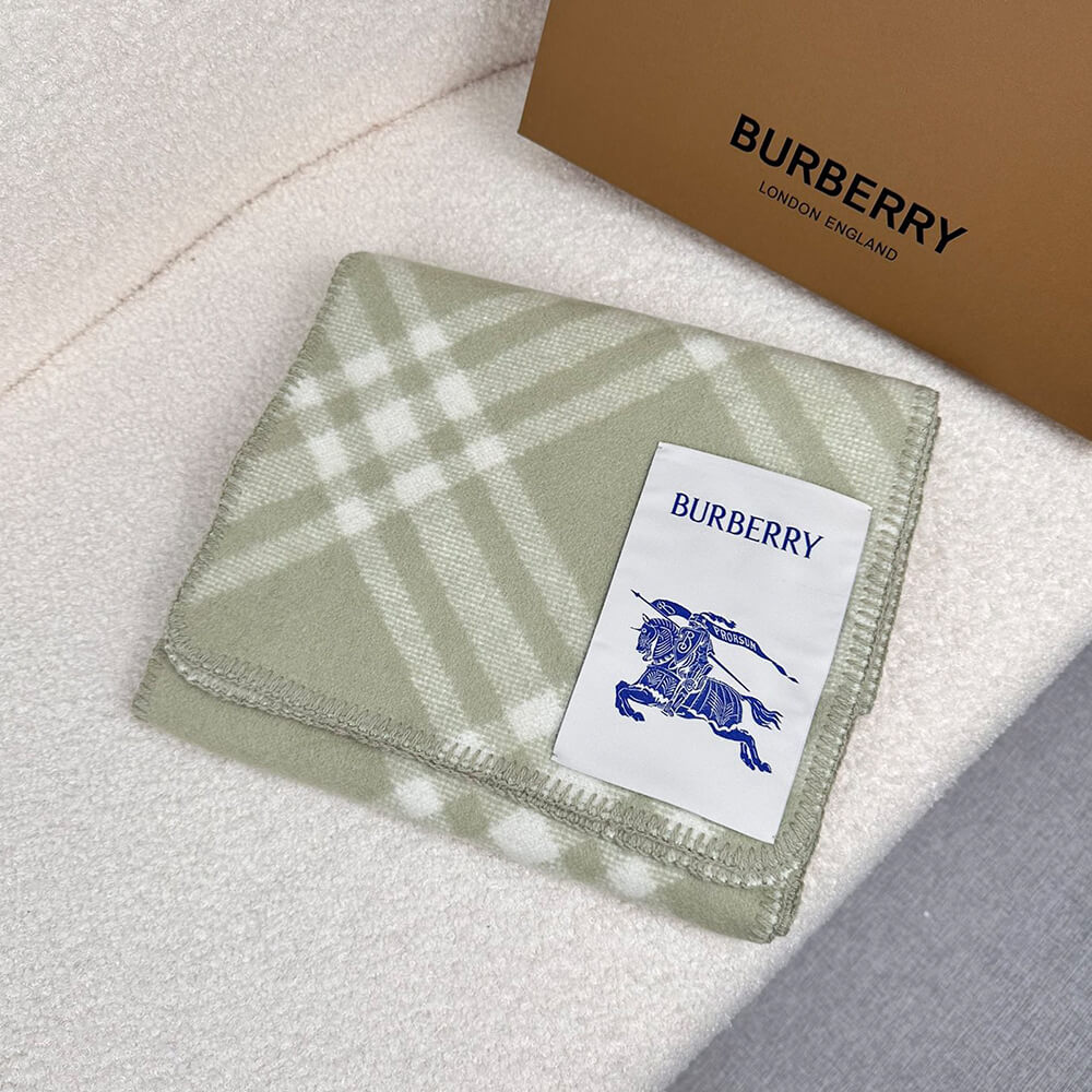 Bv*b*rry Check Cashmere Scarf