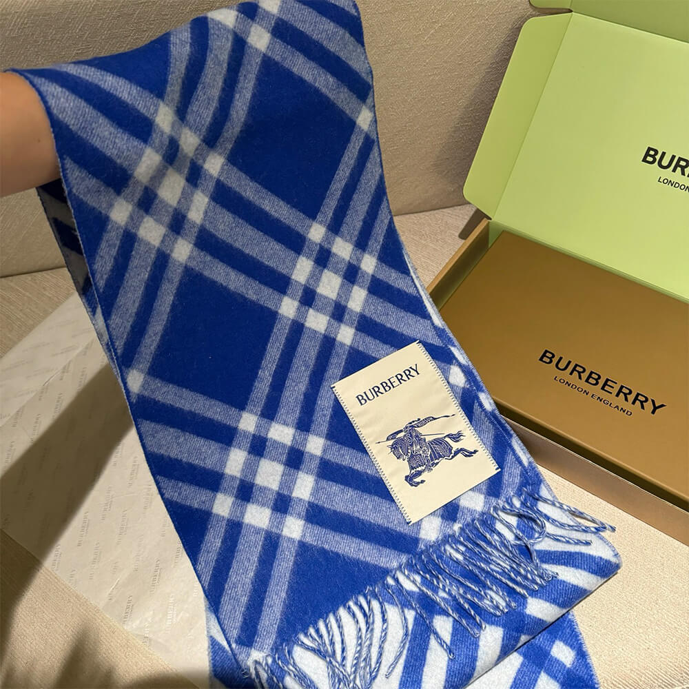 Bv*b*rry Check Cashmere Scarf