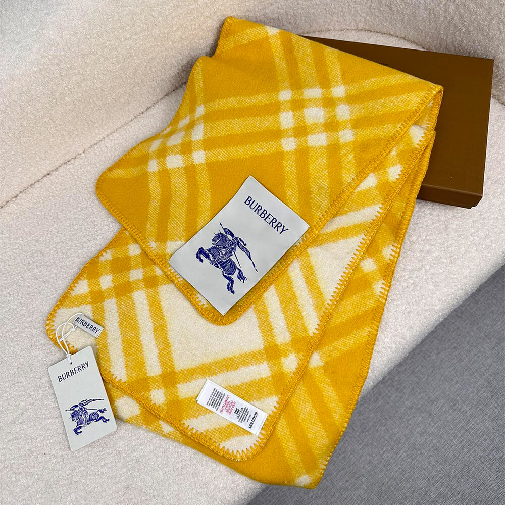 Bv*b*rry Check Cashmere Scarf