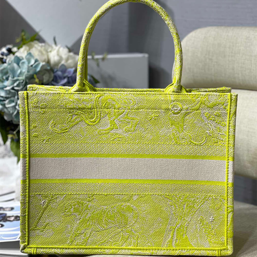 SMALL D10r BOOK TOTE