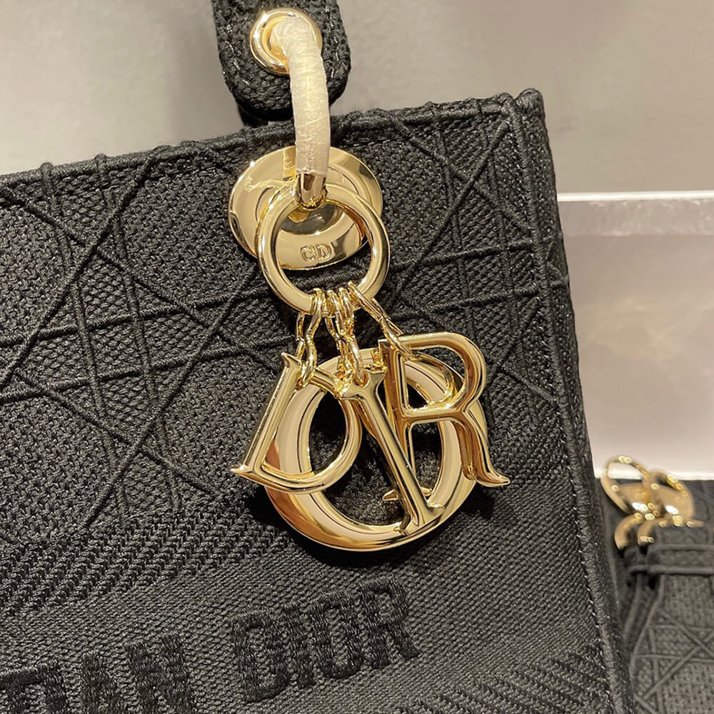 D10r MEDIUM LADY D-LITE BAG