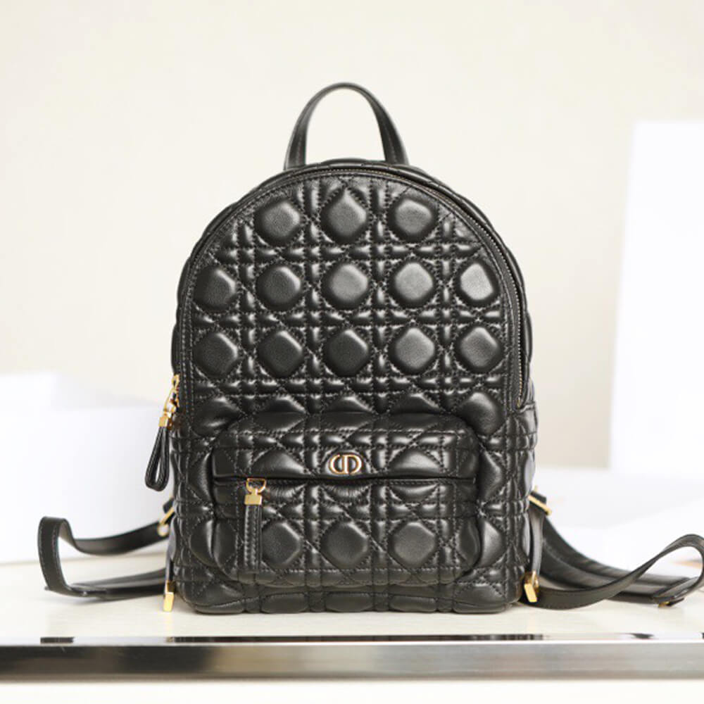 SMALL D10r BACKPACK