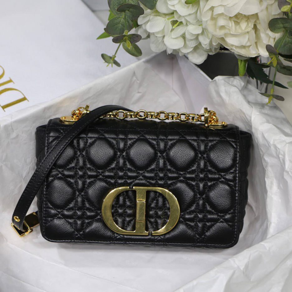 SMALL D10r CARO BAG