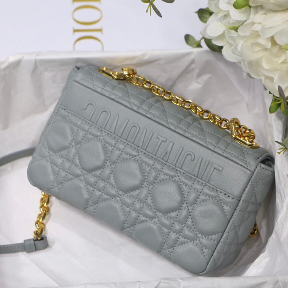 SMALL D10r CARO BAG