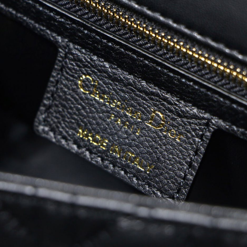 SMALL D10r CARO BAG
