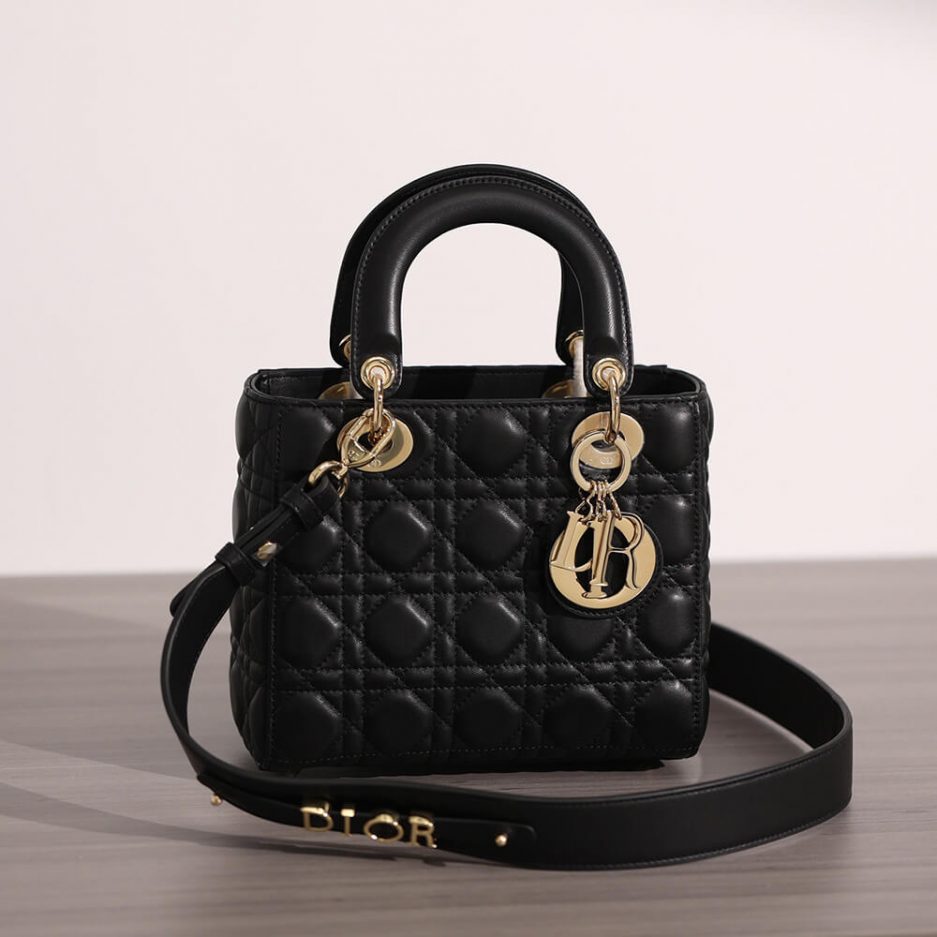 SMALL LADY D10r BAG