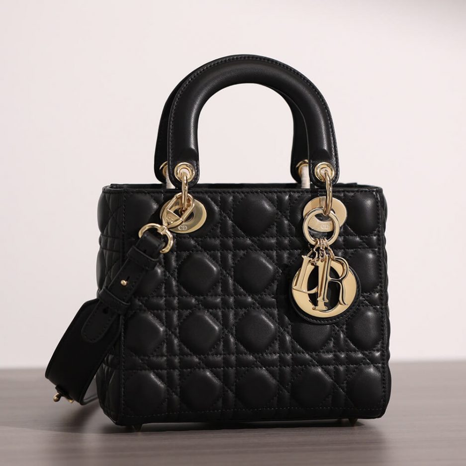 SMALL LADY D10r BAG