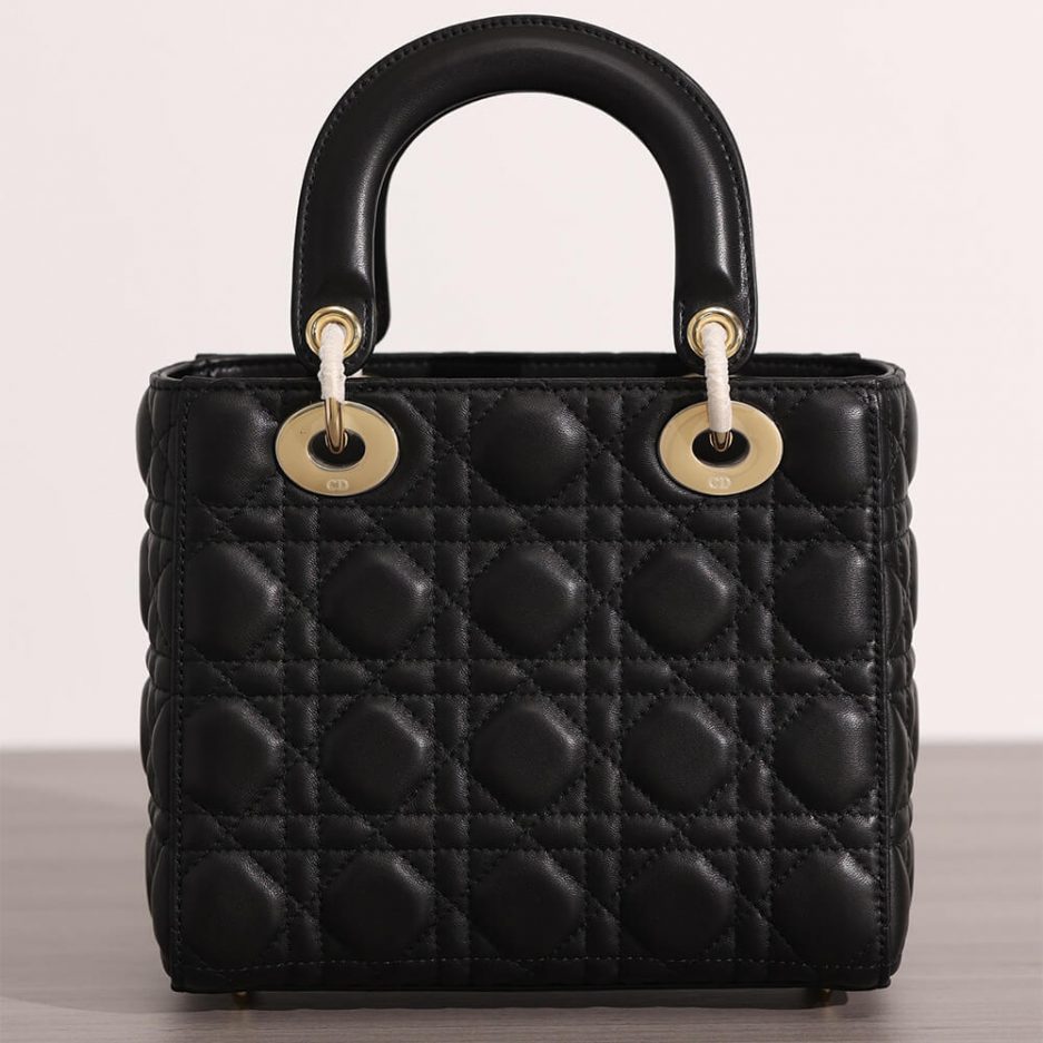 SMALL LADY D10r BAG