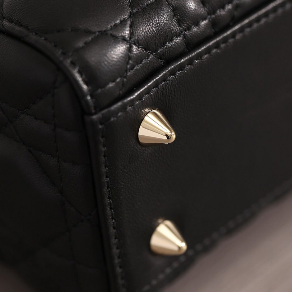 SMALL LADY D10r BAG