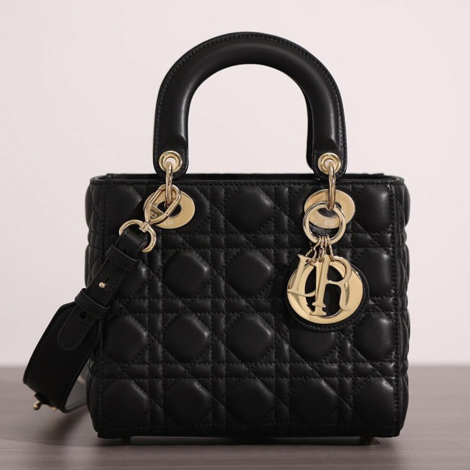 SMALL LADY D10r BAG