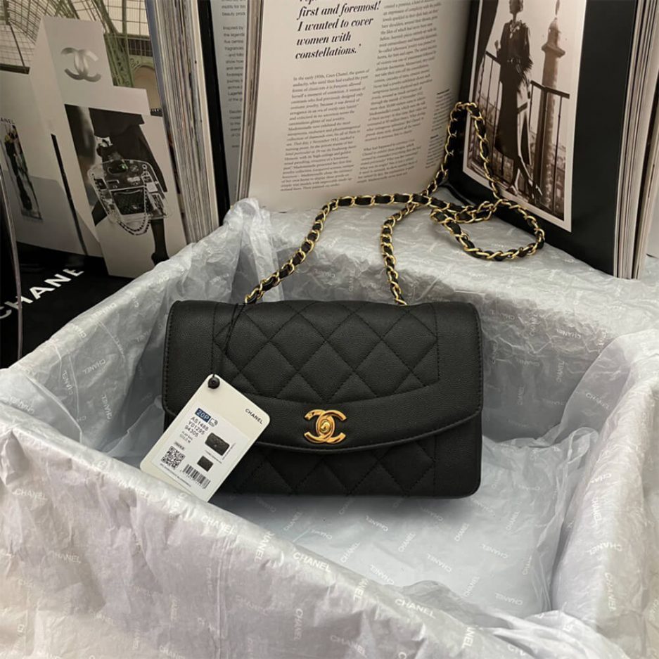 Ch**el Vintage Small Diana Flap Bag – Rare