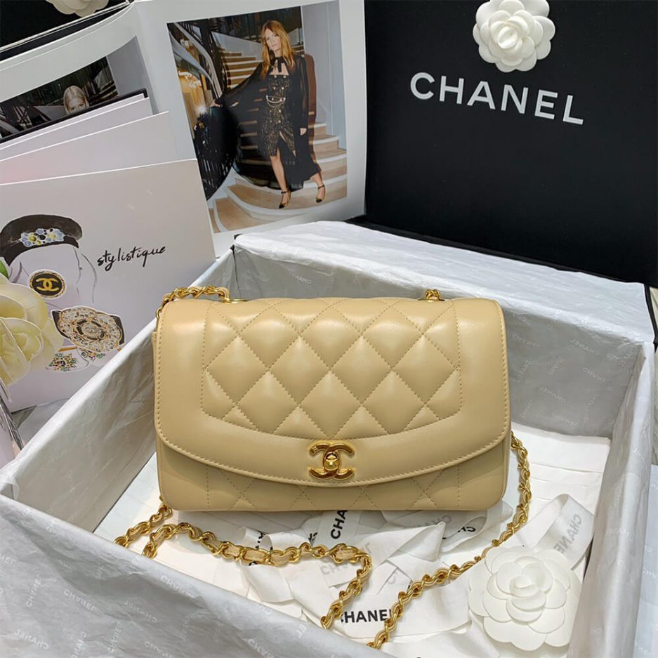 Ch**el Vintage Small Diana Flap Bag – Rare
