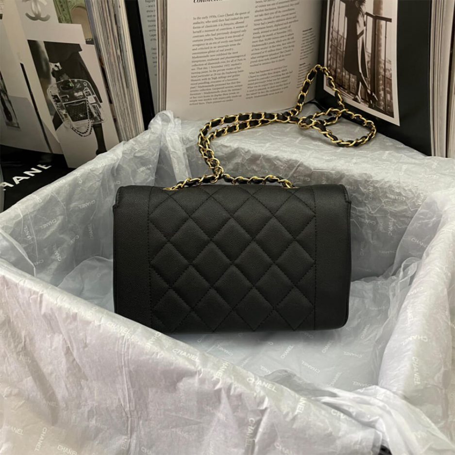 Ch**el Vintage Small Diana Flap Bag – Rare