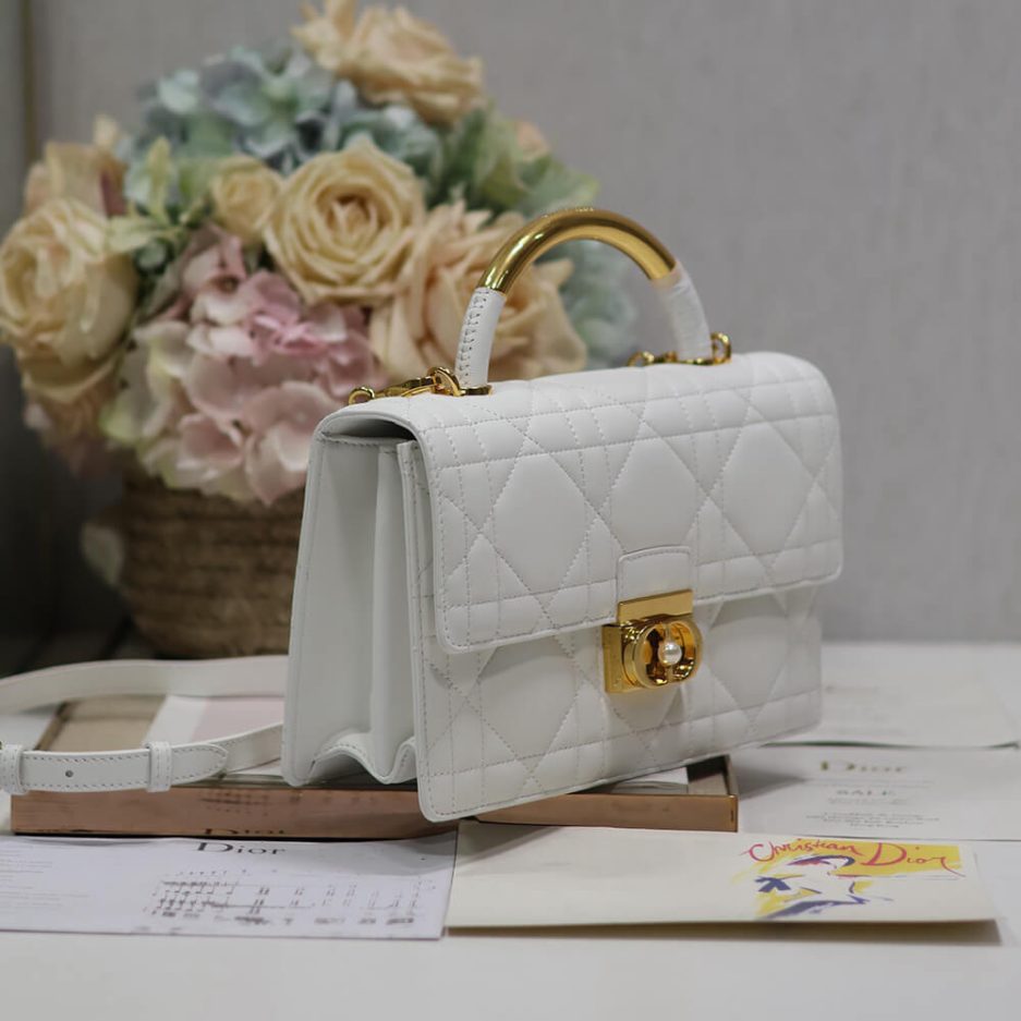 Medium D10r Ange Bag