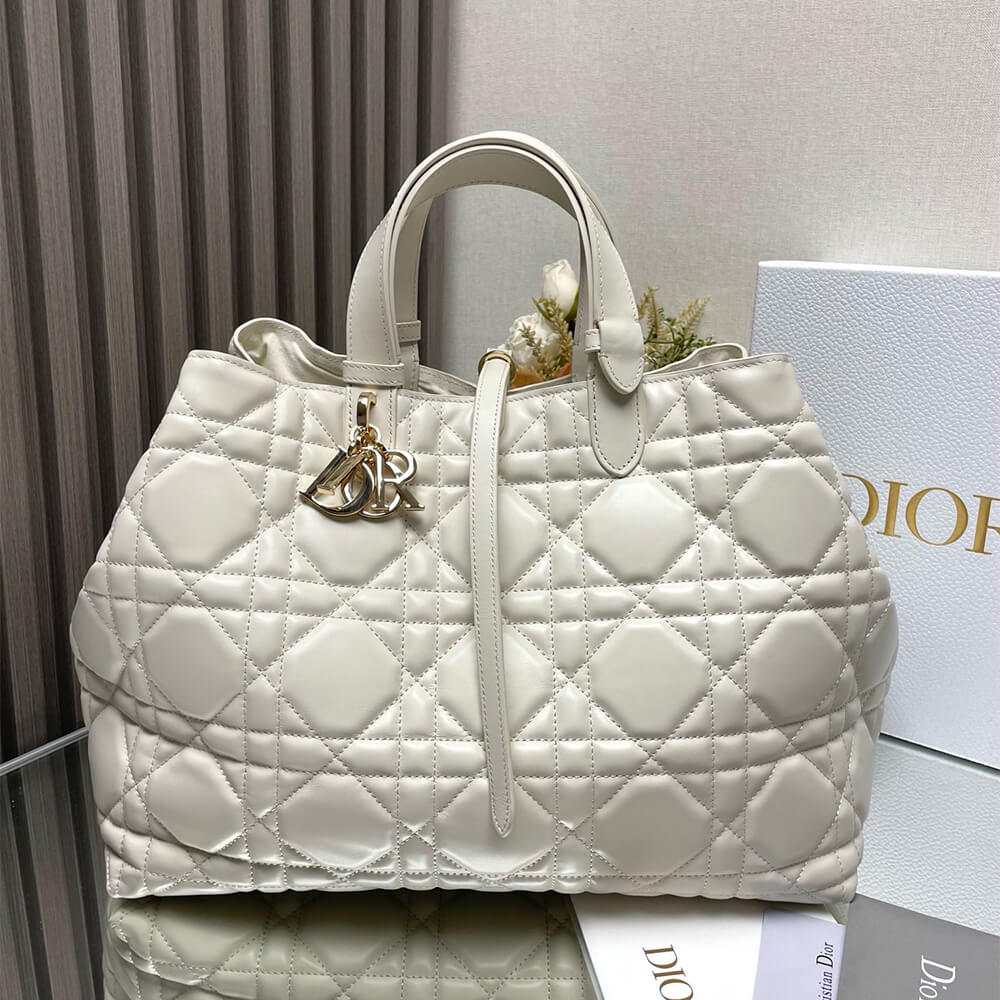 D10r Large Toujours Bag(HIGH-END GRADE)