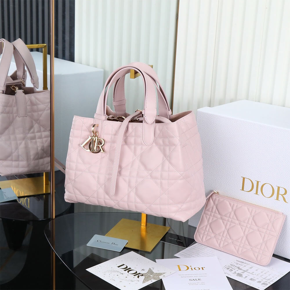 MEDIUM D10r TOUJOURS BAG(HIGH-END Grade)