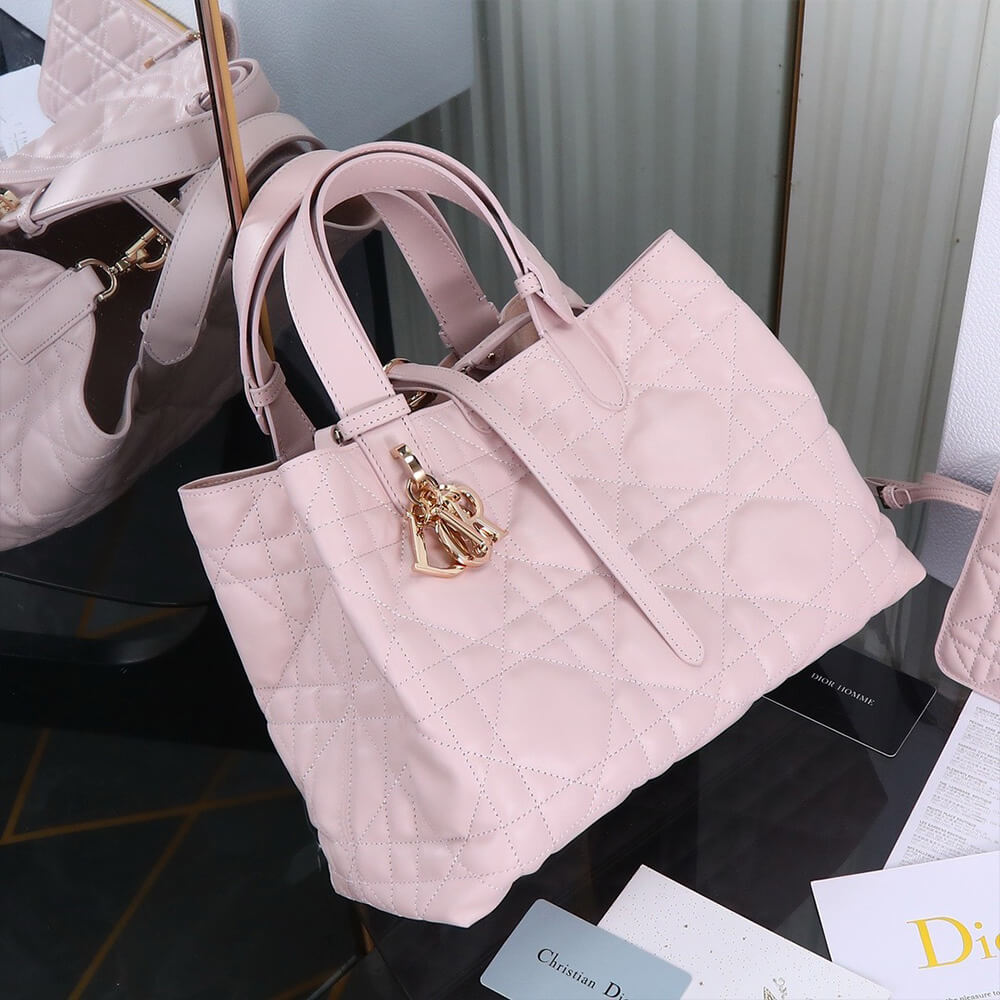 MEDIUM D10r TOUJOURS BAG(HIGH-END Grade)
