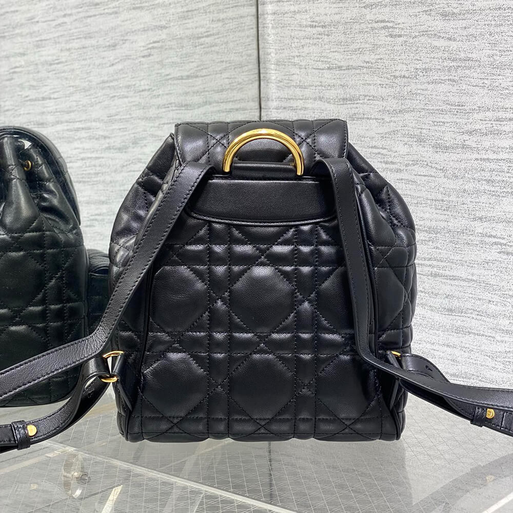 Medium D10r Caro Backpack