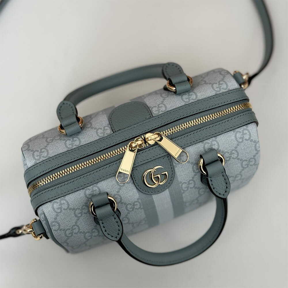 Gvc*1 Ophidia mini top handle bag