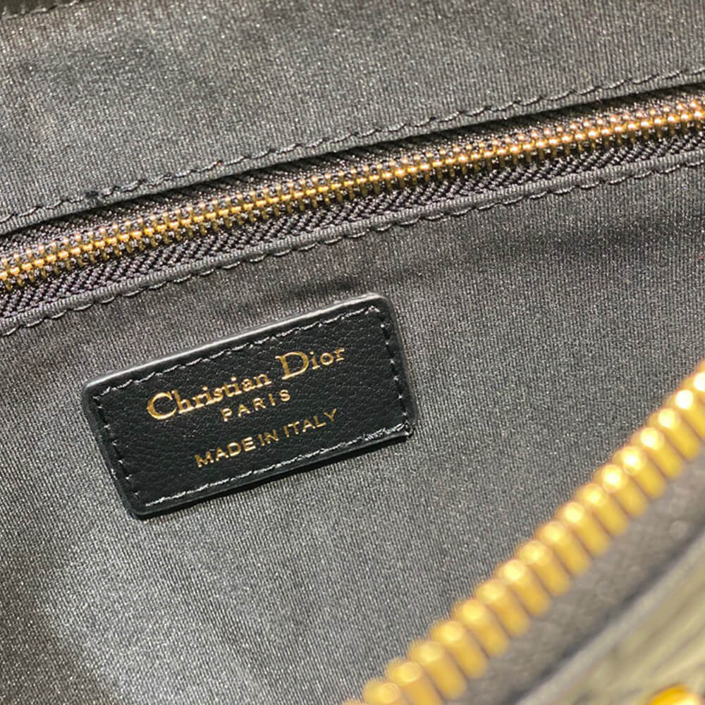 Large D10r Caro Daily Pouch(HIGH-END GRADE)