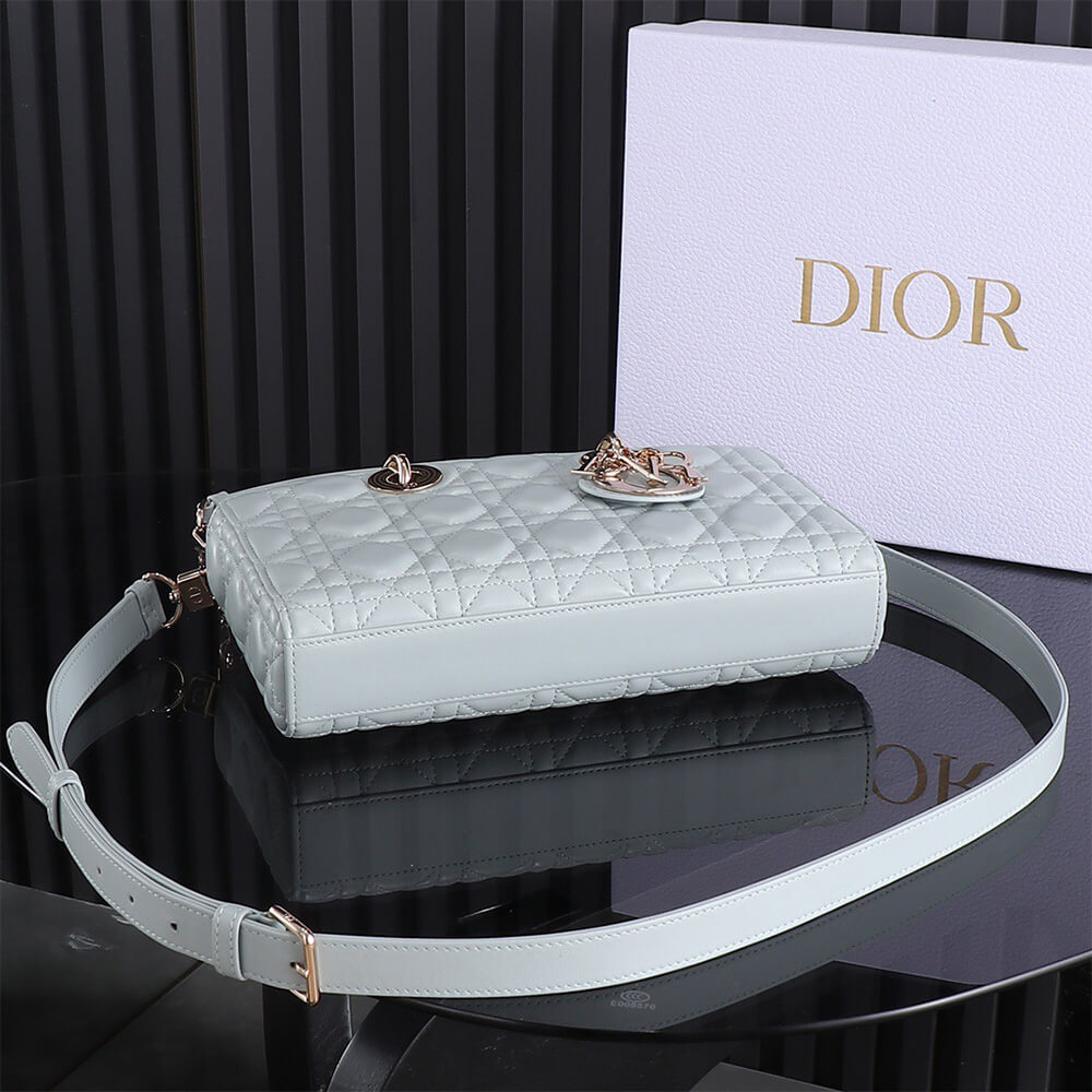 D10r Medium Lady D-Joy Bag(HIGH-END GRADE)