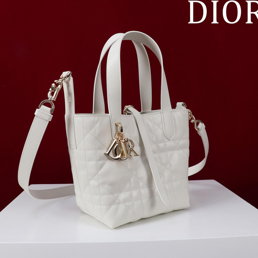 Small D10r Toujours Vertical Tote Bag(high-end grade)