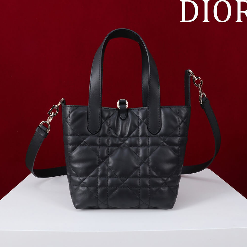 Small D10r Toujours Vertical Tote Bag(high-end grade)
