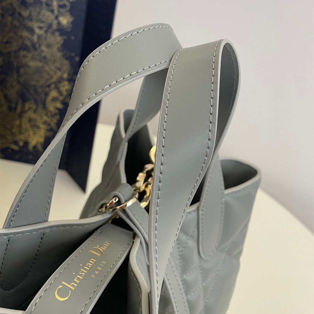 Medium D10r Toujours Vertical Tote Bag(high-end grade)