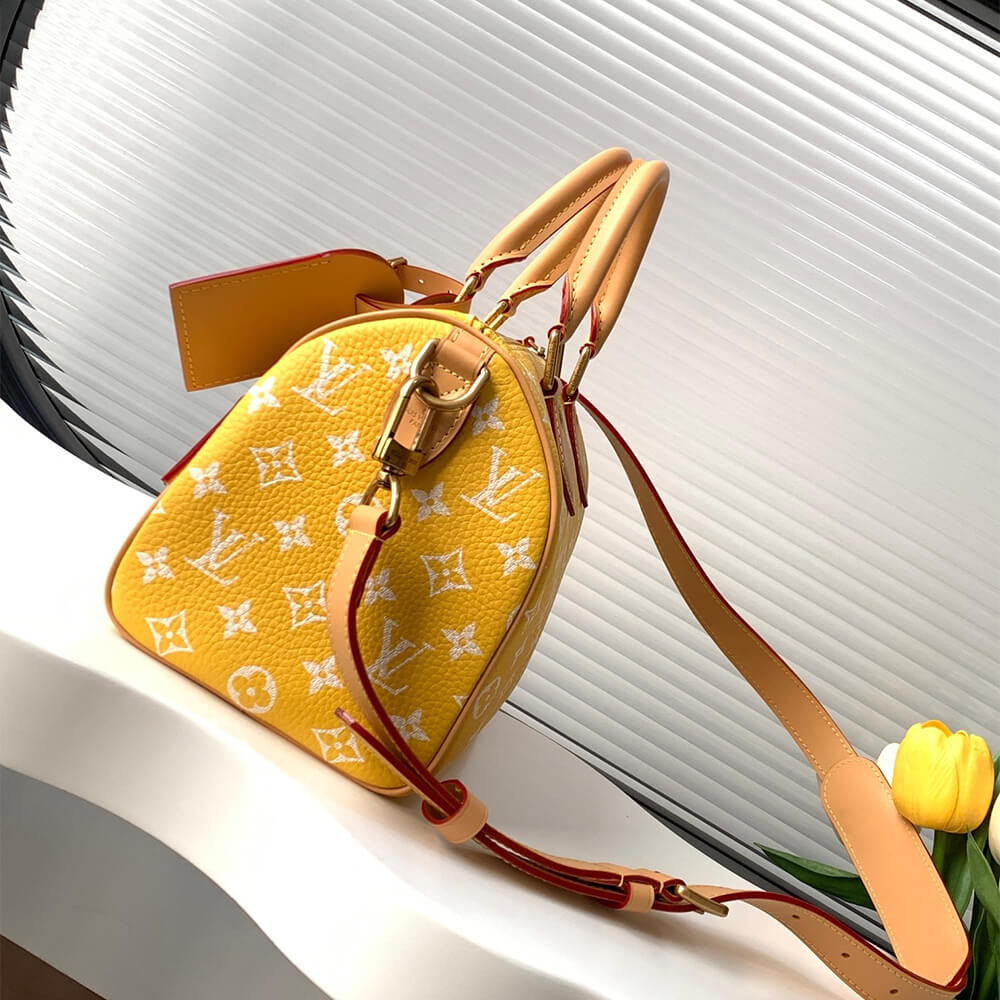 LV Speedy P9 Bandouliere 25