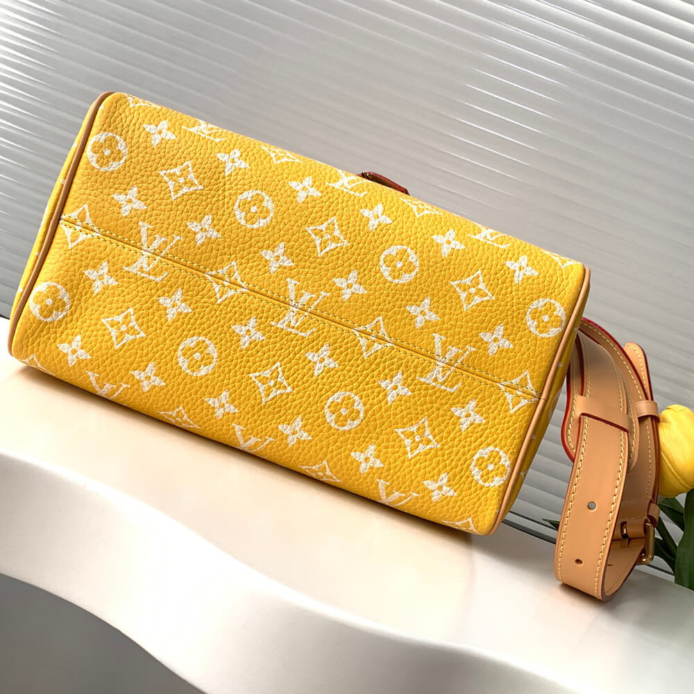 LV Speedy P9 Bandouliere 25