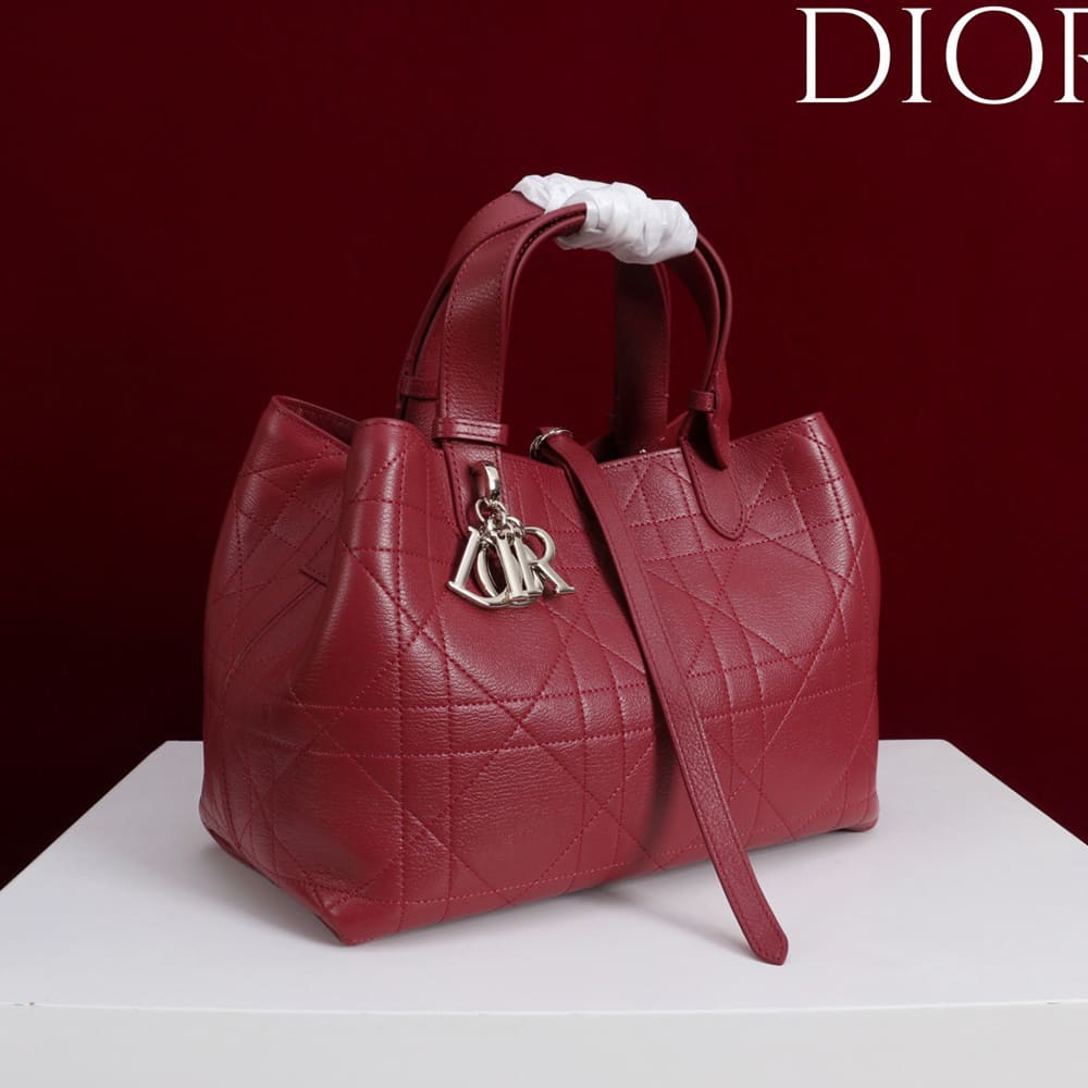 Medium D10r Toujours Bag