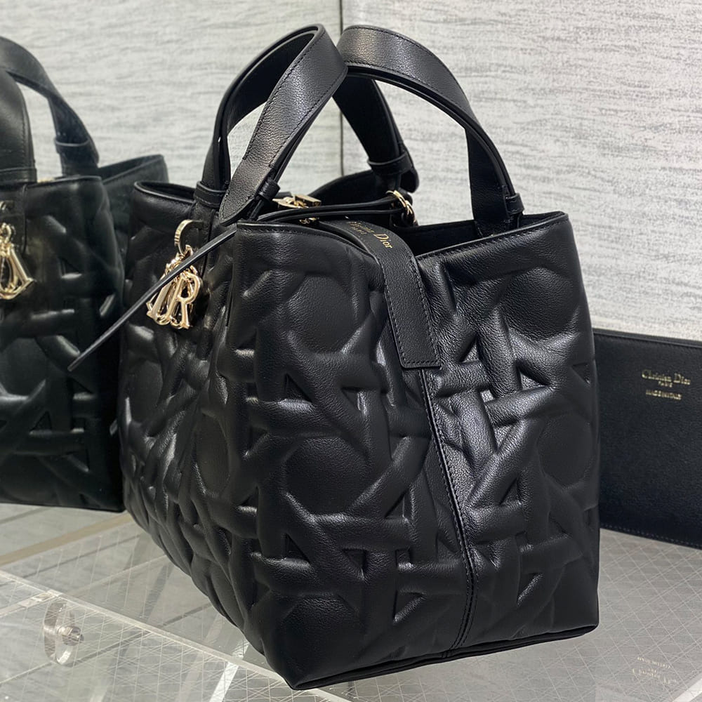 Medium D10r Toujours Bag