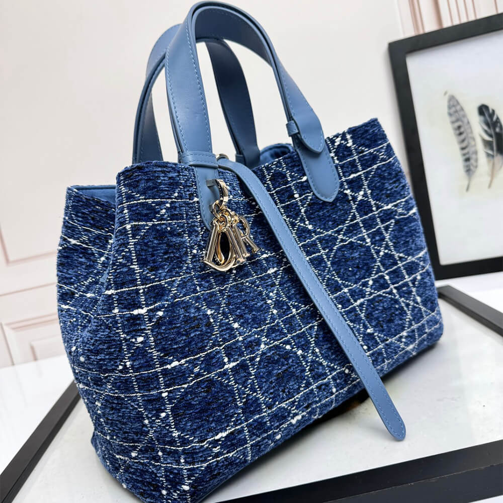 Medium D10r Toujours Bag
