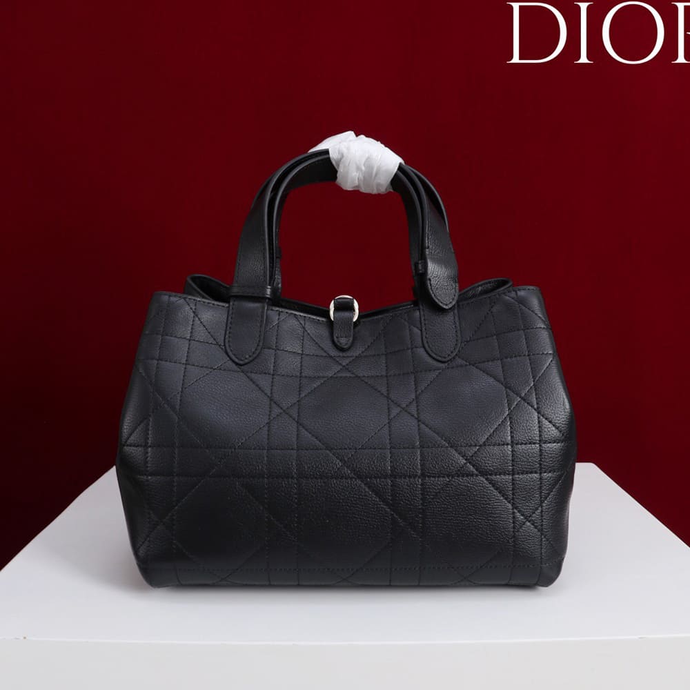 Medium D10r Toujours Bag