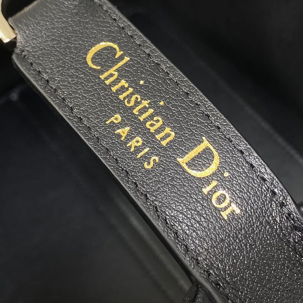 Medium D10r Toujours Bag