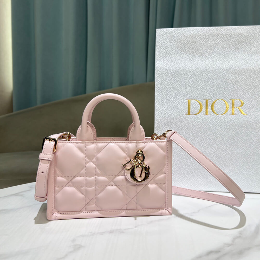D10r Mini D10r Book Tote