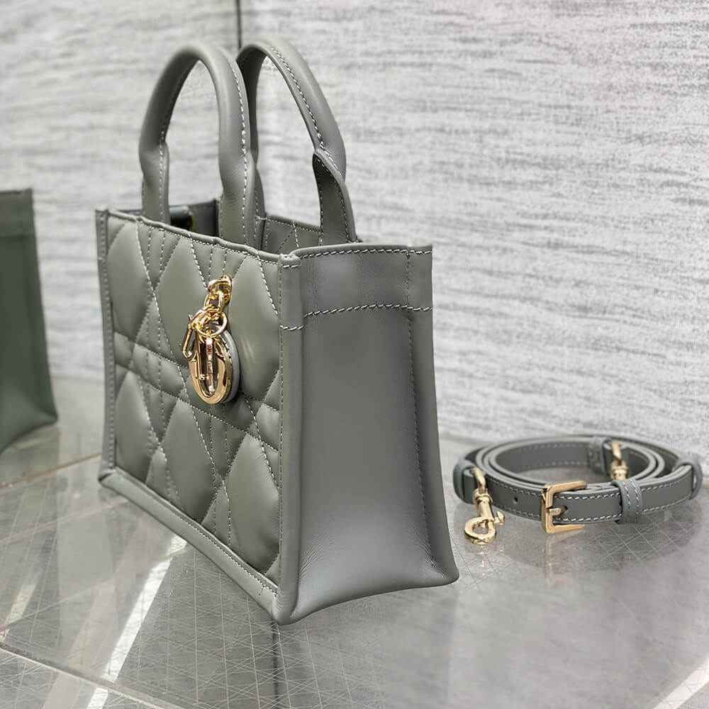 D10r Mini D10r Book Tote