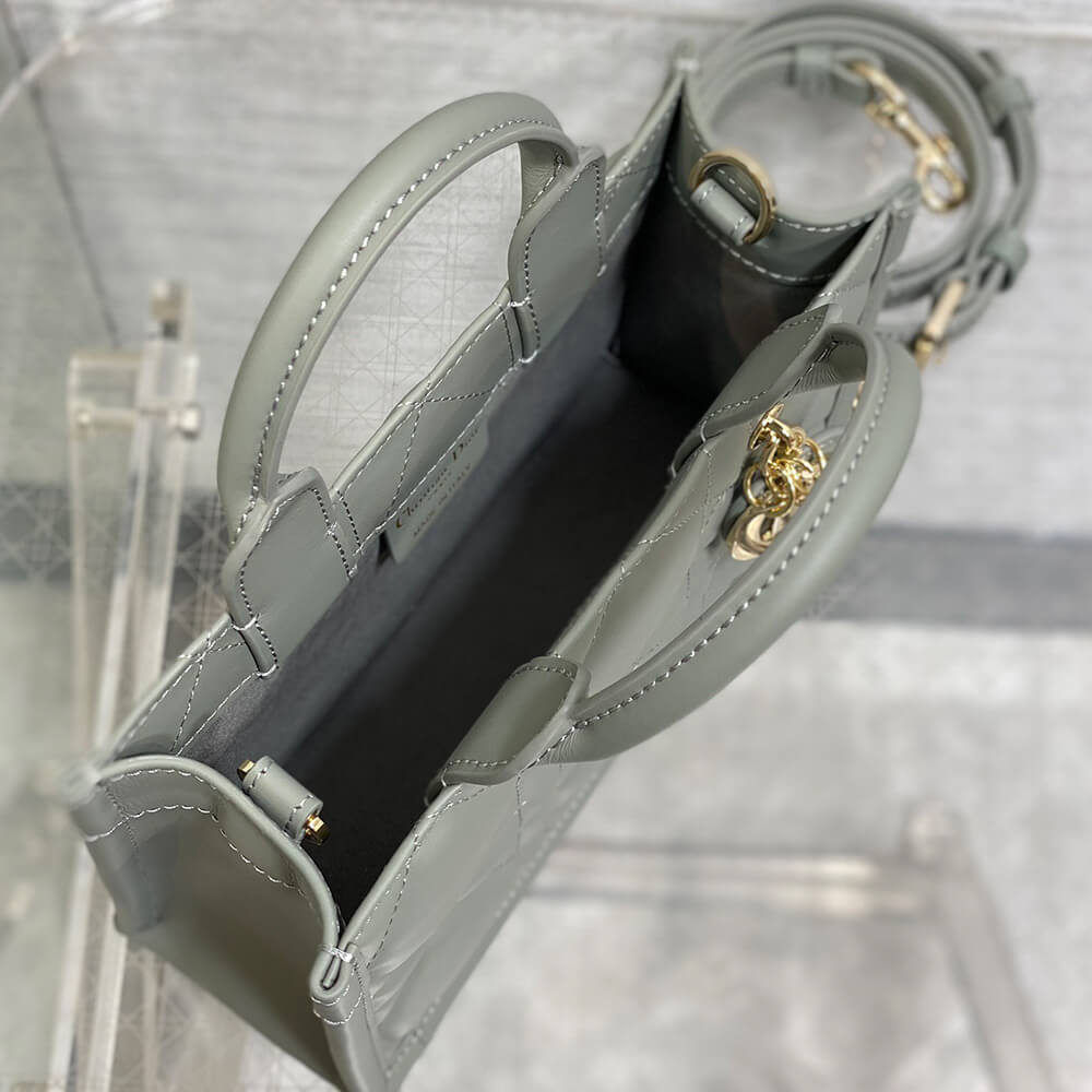 D10r Mini D10r Book Tote