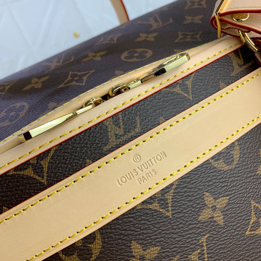 LV Dog Bag