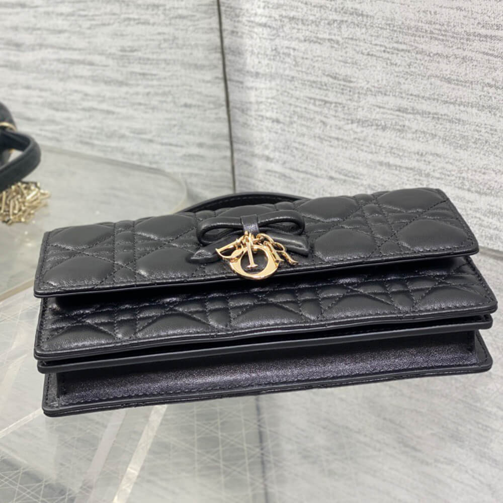 My D10r Mini Bag(HIGH-END GRADE)