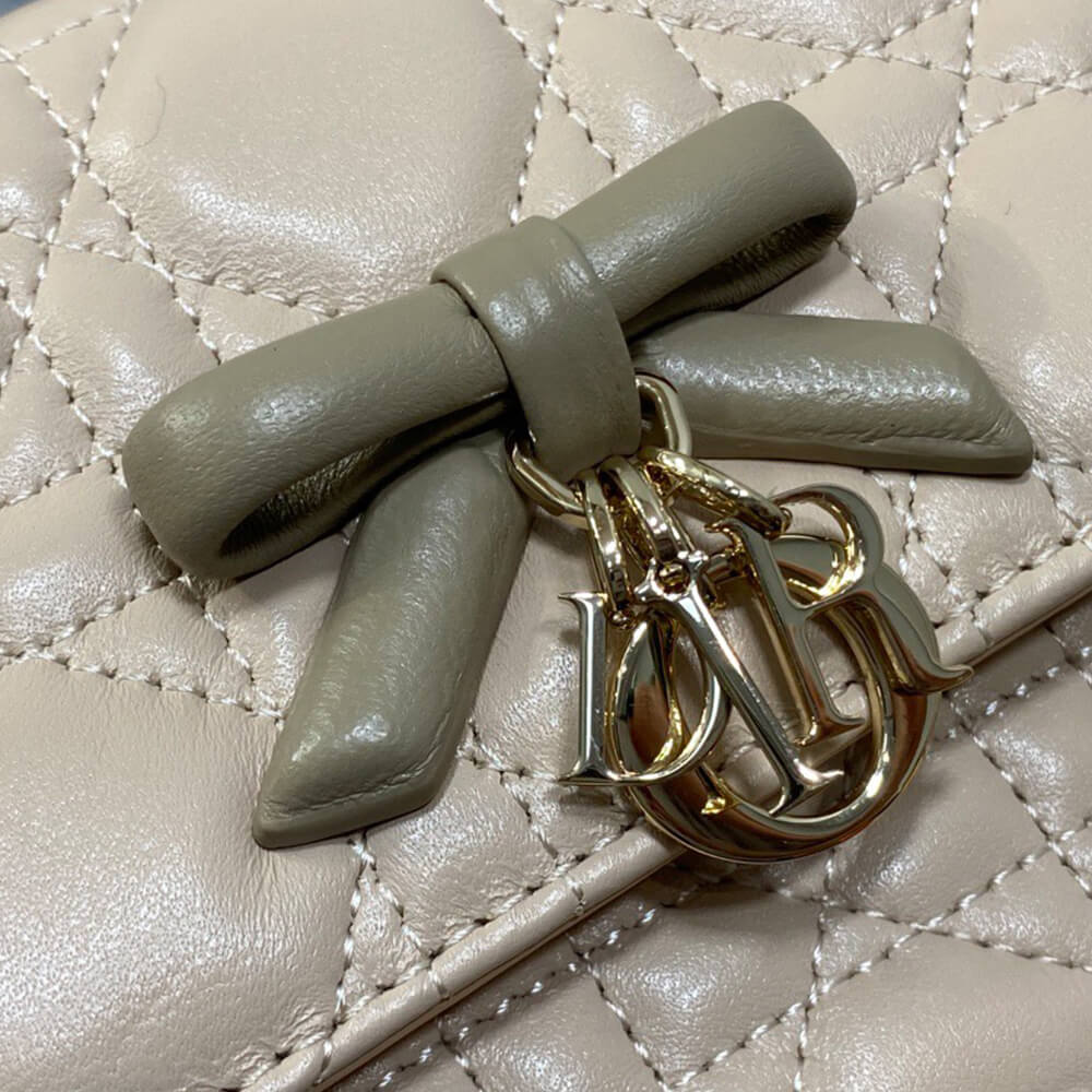 My D10r Mini Bag(HIGH-END GRADE)