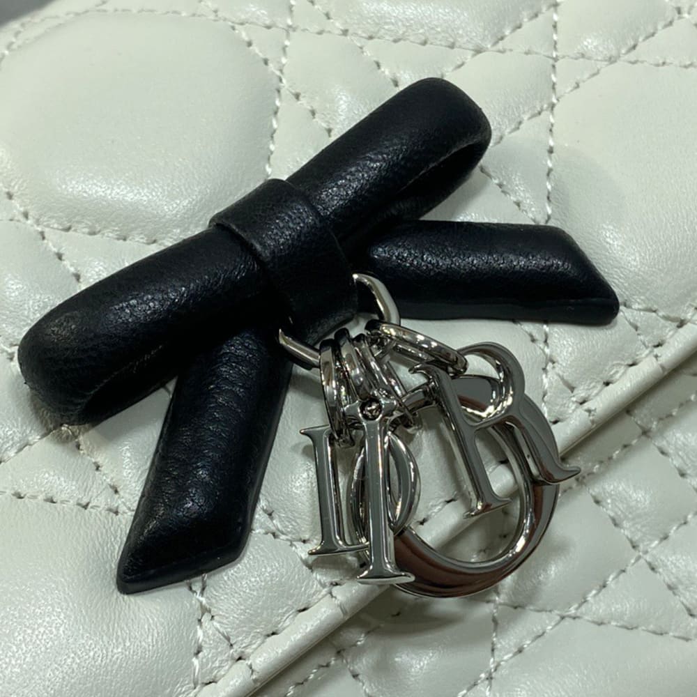 My D10r Mini Bag(HIGH-END GRADE)